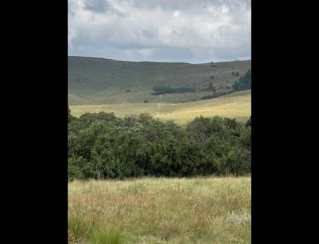 1,730HA FARM FOR SALE IN DARGLE